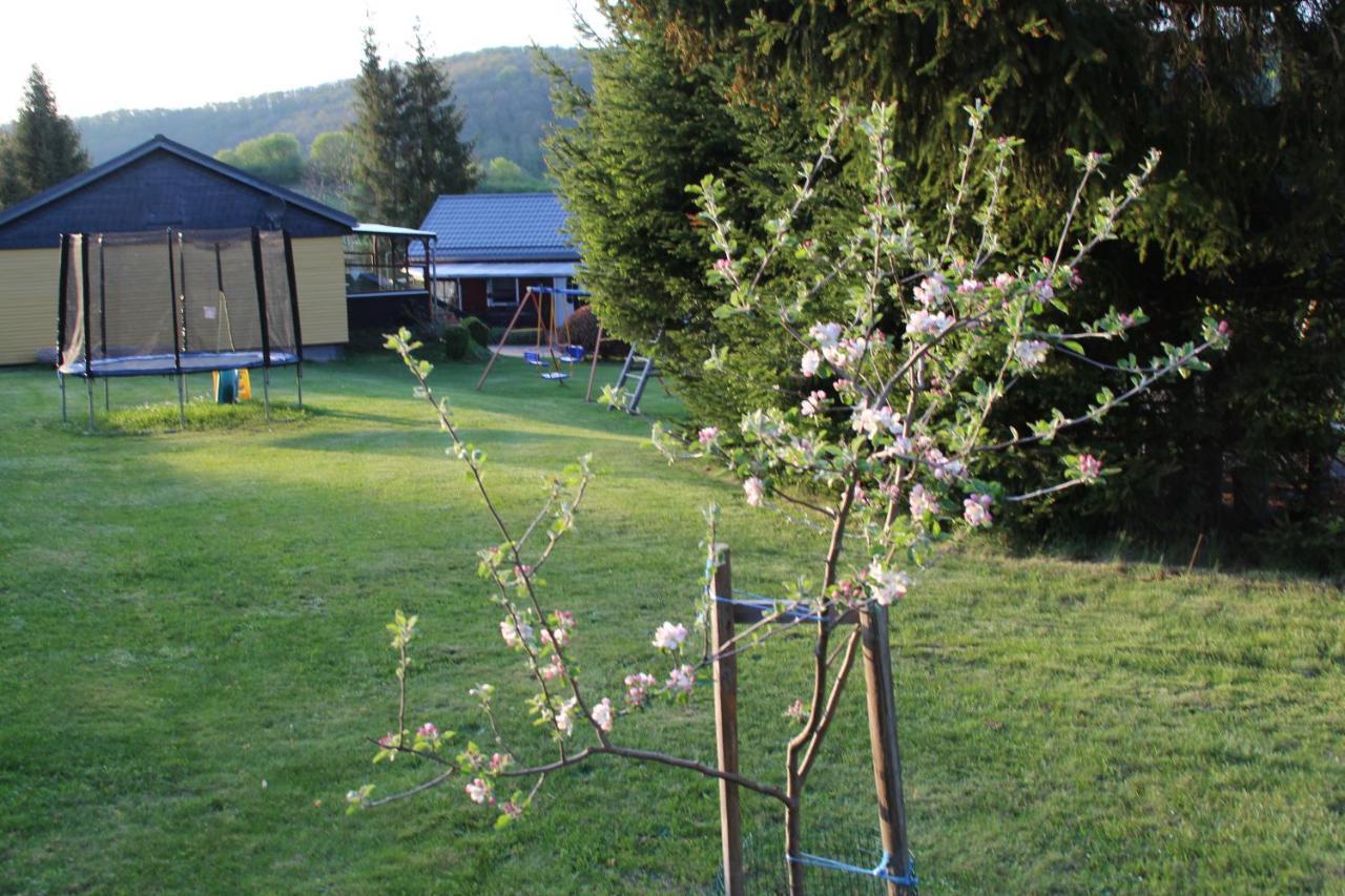 Ferienhäuser Zur Hohen Sonne Thale Exterior foto