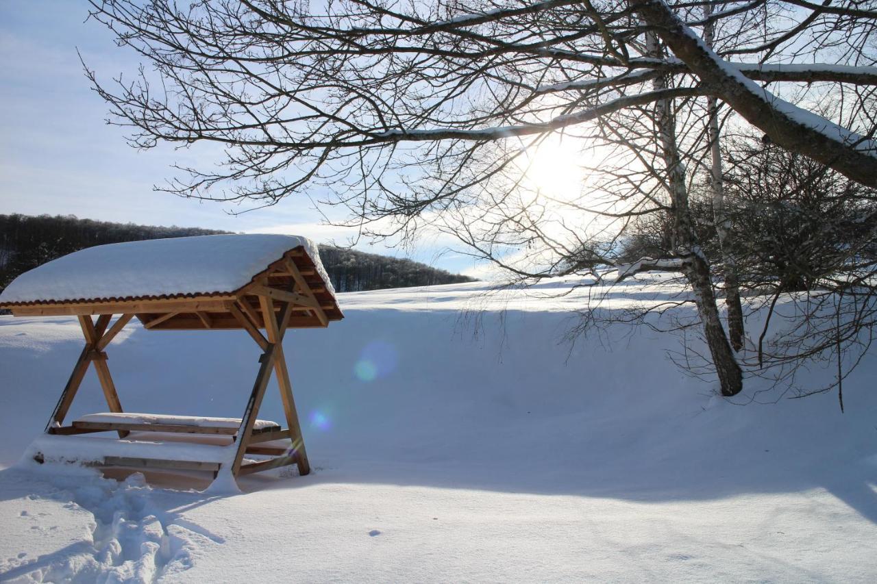 Ferienhäuser Zur Hohen Sonne Thale Exterior foto